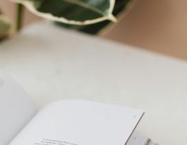 Buch offen Pflanze