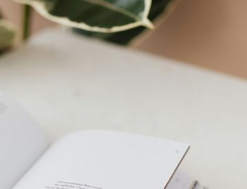 Buch offen Pflanze